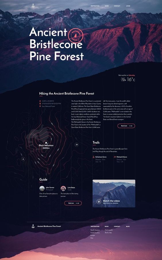 杭州网站设计色彩搭配案例